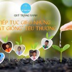 QUỸ TRĂNG XANH TIẾP TỤC GIEO NHỮNG “HẠT GIỐNG” YÊU THƯƠNG